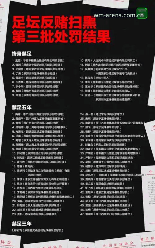中国足协第三批禁足名单深度分析：17人终身禁赛背后的行业乱象与治理信号